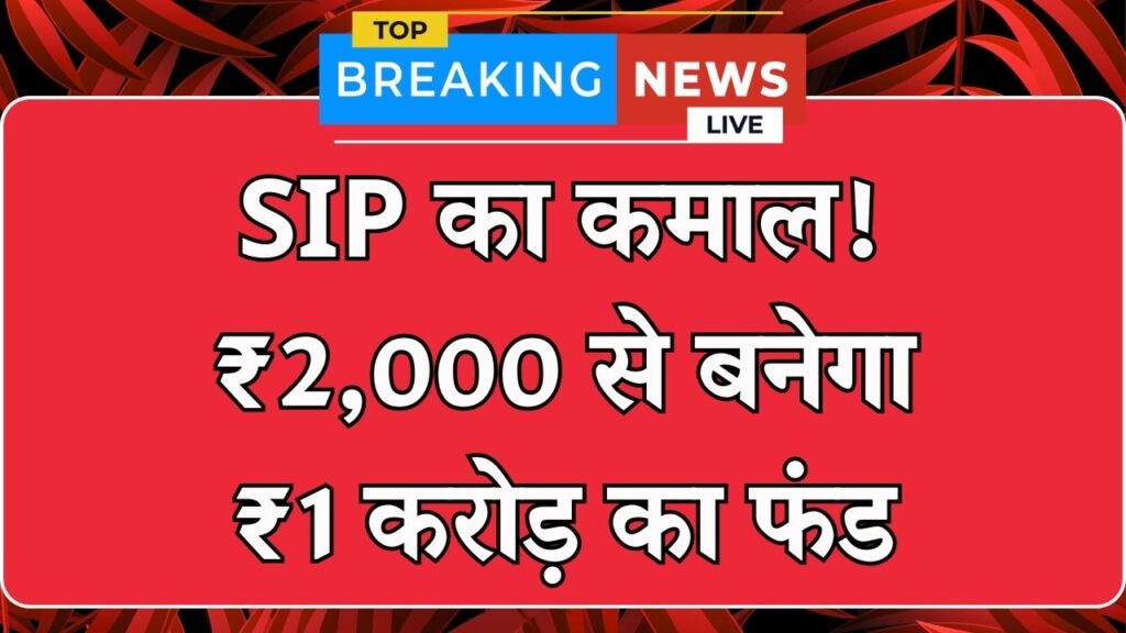 Mutual Fund SIP Calculation: ₹2,000 की SIP से बनेगा ₹1 करोड़ का फंड, देखें पूरी गणना 1 Mutual Fund SIP Calculation: ₹2,000 की SIP से बनेगा ₹1 करोड़ का फंड, देखें पूरी गणना